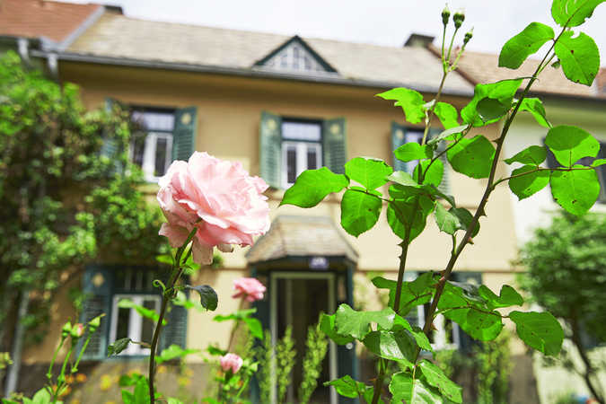 kärnten.museum, IBHK, Foto km, J. Puch